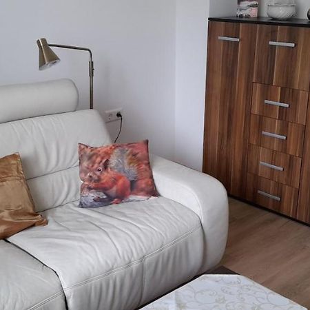 Ferienwohnung Christel Hirschhorn-Neckar Екстер'єр фото