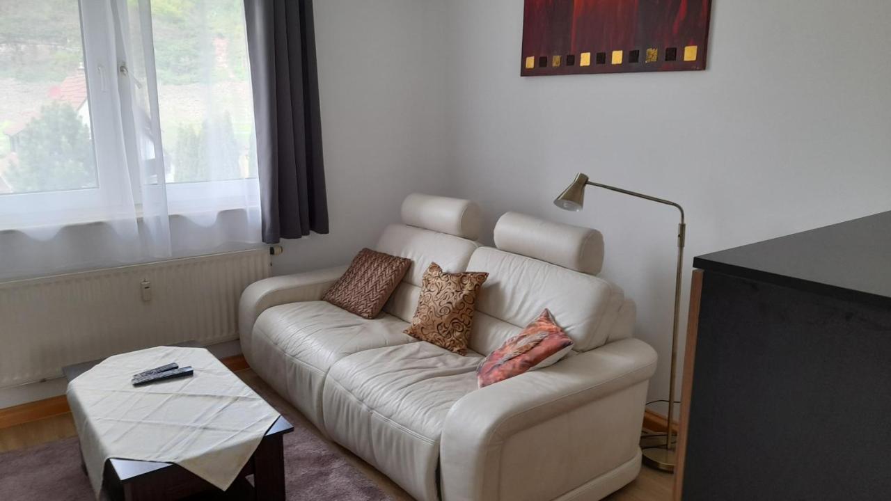 Ferienwohnung Christel Hirschhorn-Neckar Екстер'єр фото
