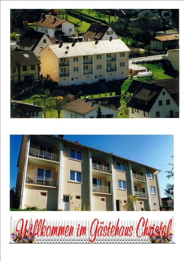 Ferienwohnung Christel Hirschhorn-Neckar Екстер'єр фото