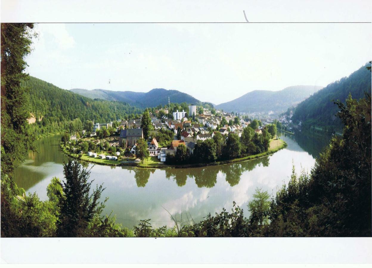 Ferienwohnung Christel Hirschhorn-Neckar Екстер'єр фото